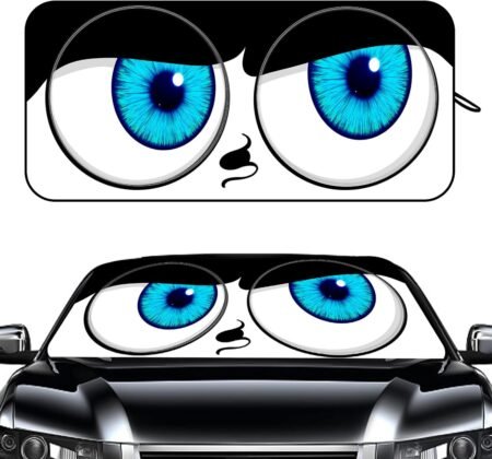 Windshield visor